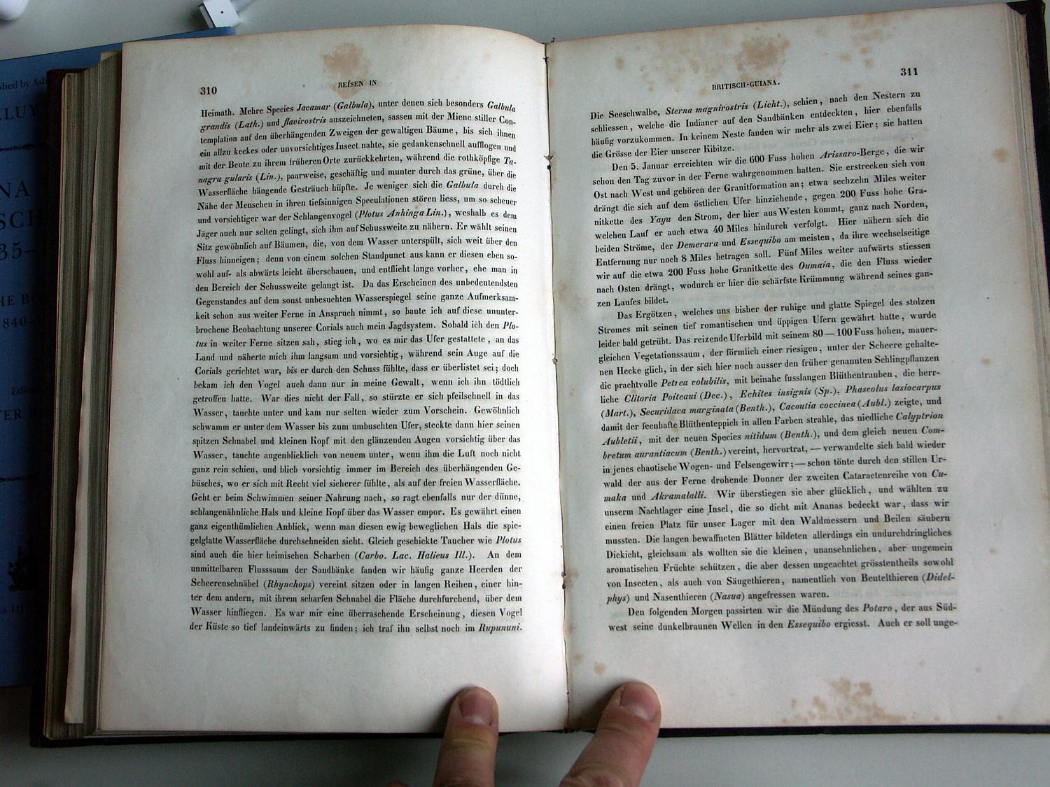 ZZ-RISC47,S.310 5. Januar